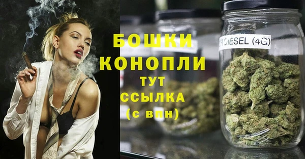 дурь Пестово