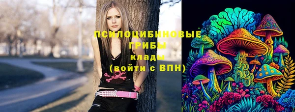 стафф Майский