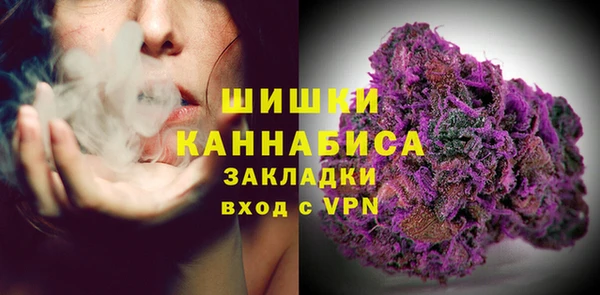 ПСИЛОЦИБИНОВЫЕ ГРИБЫ Липки