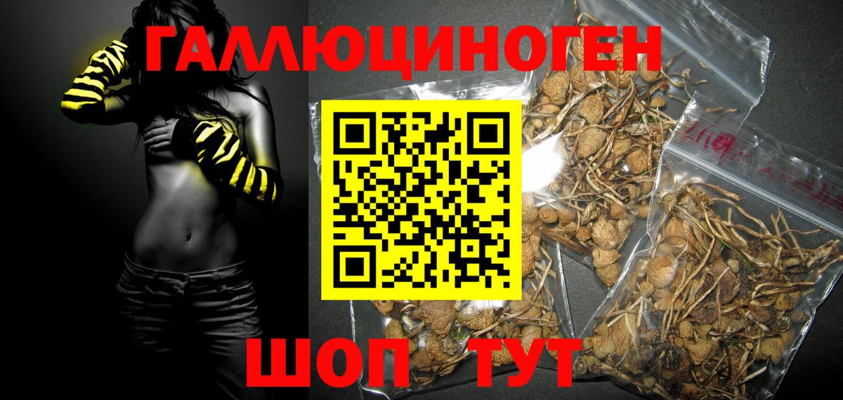 Галлюциногенные грибы GOLDEN TEACHER Абакан