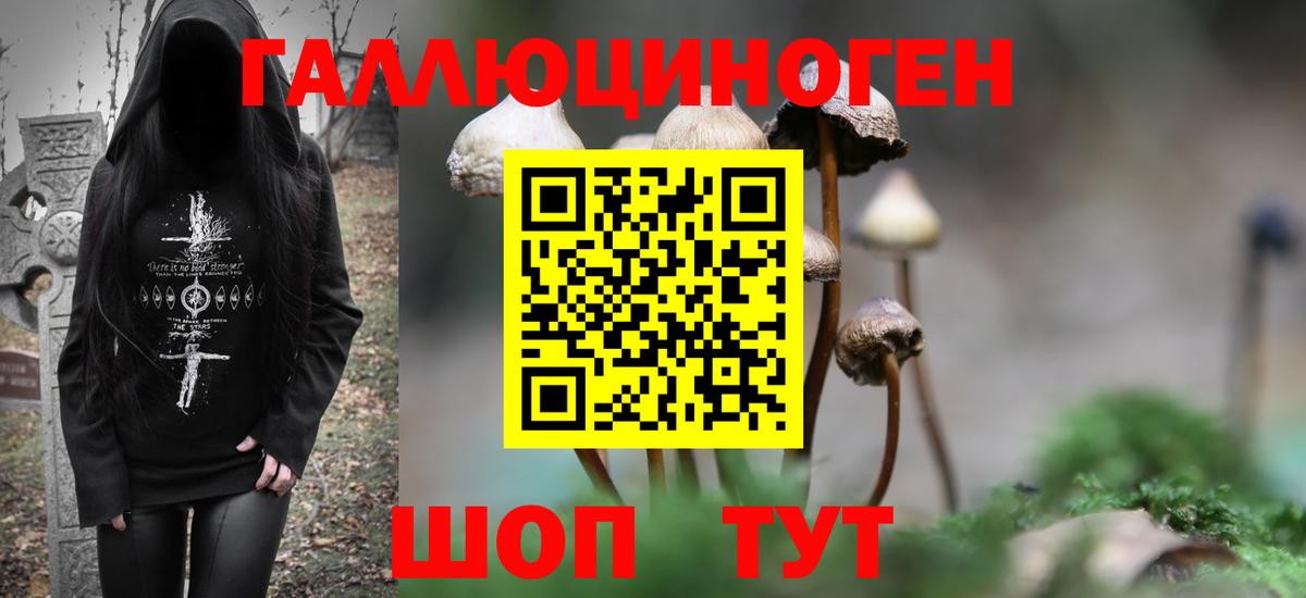 Галлюциногенные грибы Psilocybine cubensis  Вход с VPN  Абакан 
