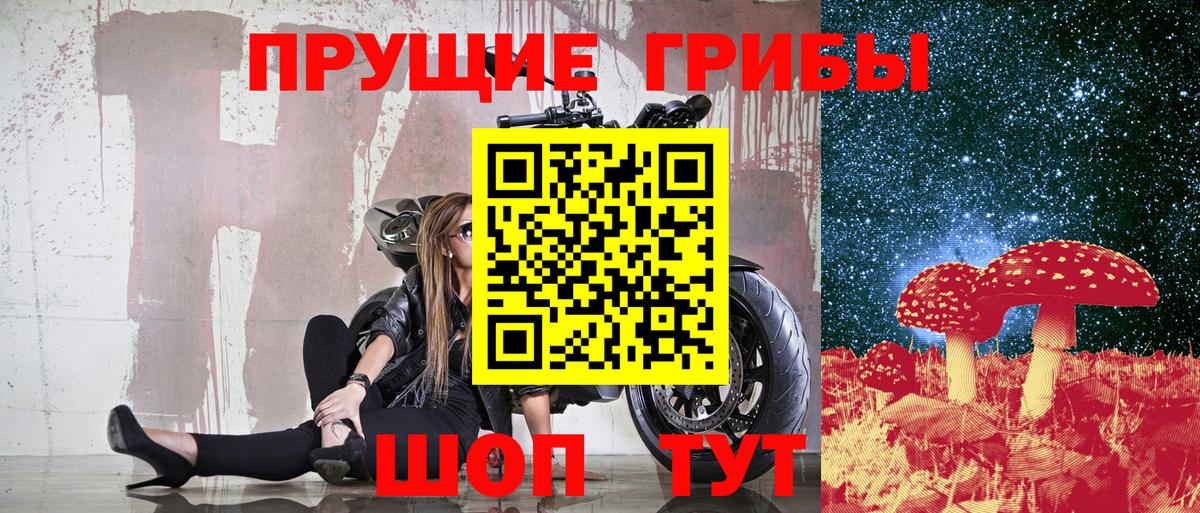 Галлюциногенные грибы MAGIC MUSHROOMS  Абакан  Псилоцибиновые грибы GOLDEN TEACHER 